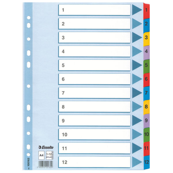 Esselte Mylar Indices & Dividers Разноцветный 1шт разделитель