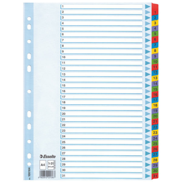 Esselte Mylar Indices & Dividers Multicolour divider