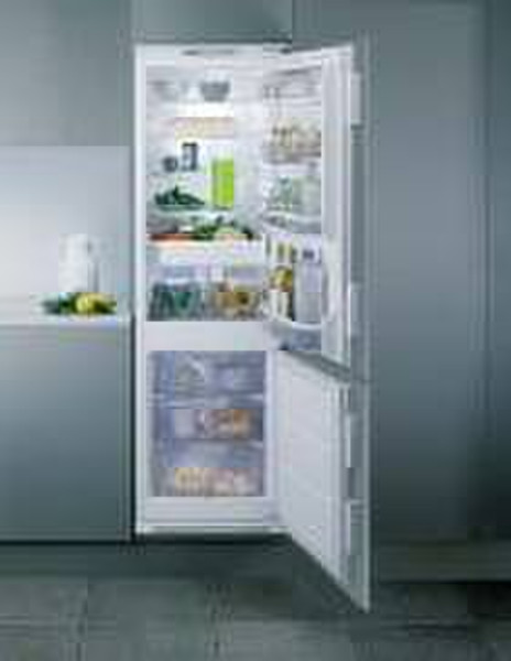 Bauknecht KGIK 3100/1/A freestanding 173L White fridge-freezer