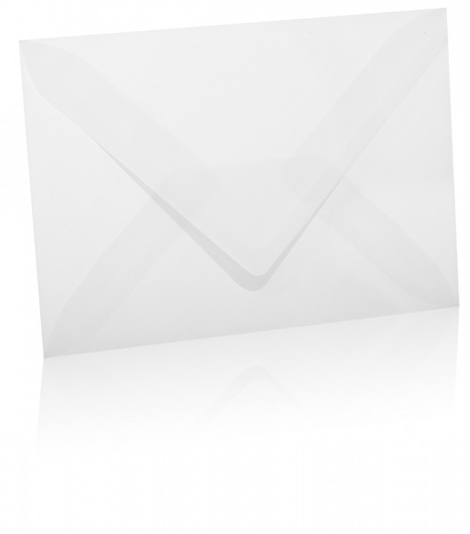ERNO 883035 X 25 envelope