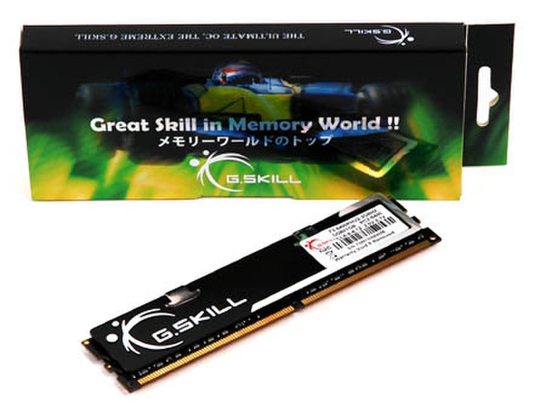 G.Skill 1GB DDR2 1000MHz Module 1ГБ DDR2 модуль памяти