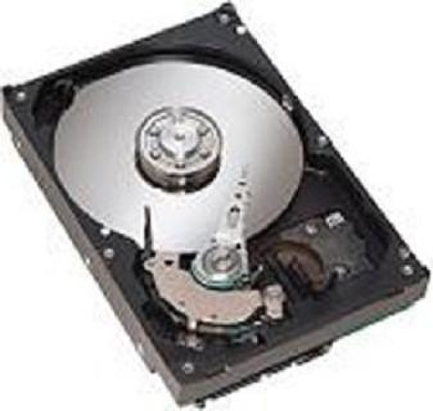 IBM DS4200 1TB, 7200 RPM SATA 1000ГБ SATA внутренний жесткий диск