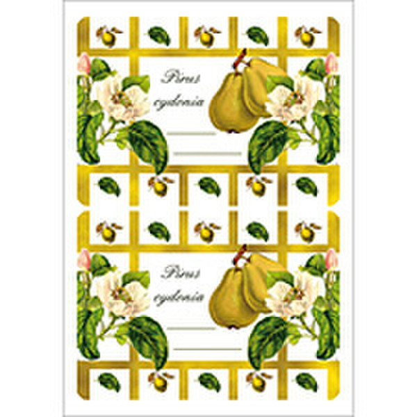 HERMA Design kitchen labels 74x52 mm quince 6 St. 3 sheets decorative sticker
