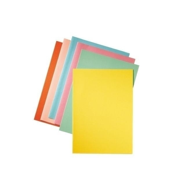 Esselte Cardboard Folder Chamois 80 g/m2