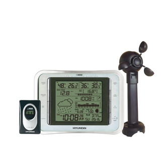 Hyundai WS 2011 Wind