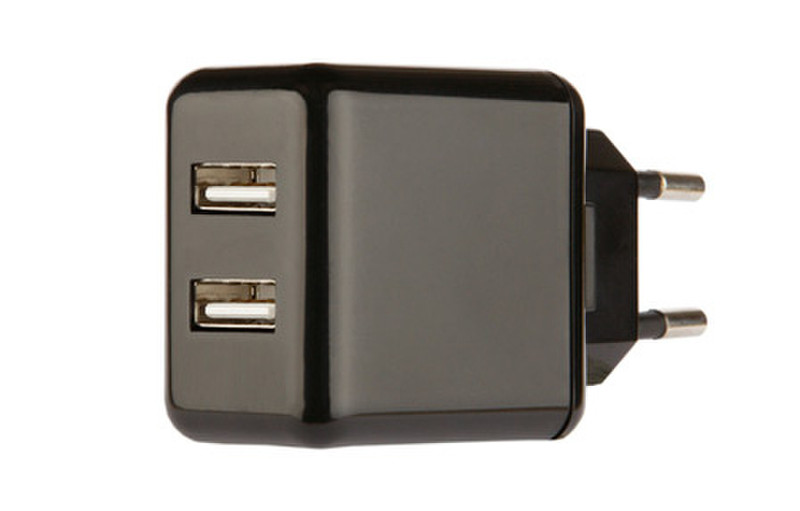 Stylz DUAL USB Power, Black Для помещений Черный зарядное для мобильных устройств
