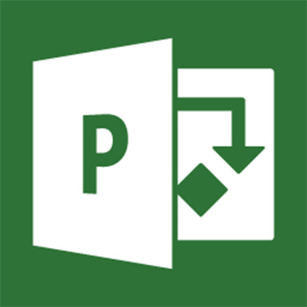 Microsoft Project 2013 Professional, x32/64, 1u, FRE