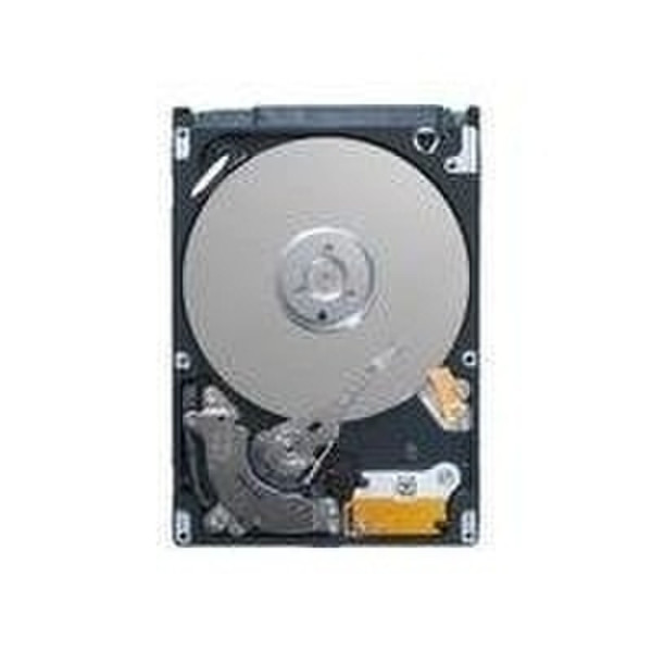 Seagate Momentus 7200.3 250GB 250GB SATA Interne Festplatte