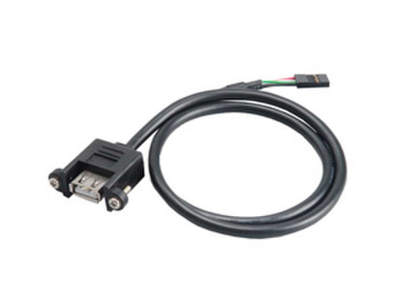 Akasa AK-CBUB06-60BK USB 2.0 type-A USB 2.0 4pin header Black