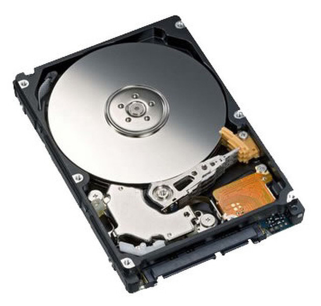 Fujitsu MHZ2400BT 400GB SATA Interne Festplatte