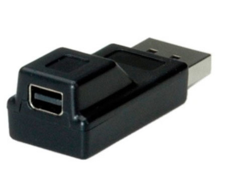 ITB DisplayPort/mini DisplayPort
