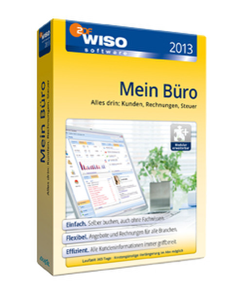 Buhl Data Service WISO Mein Büro 2013