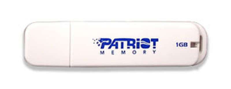 Patriot Memory 1GB USB 1ГБ USB флеш накопитель