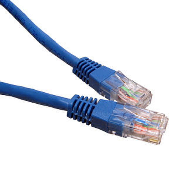 Armored Shield Technologies Cat6 2ft. 0.6m Cat6 Blue