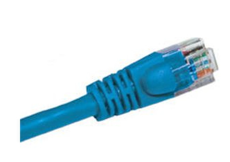 Armored Shield Technologies 6ft. Cat5t RJ-45 1.82m Cat5e Blue