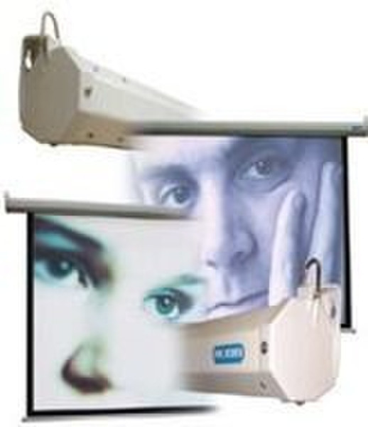 Plus Screen Pantalla proyector manual 4:3 252x203,5 120
