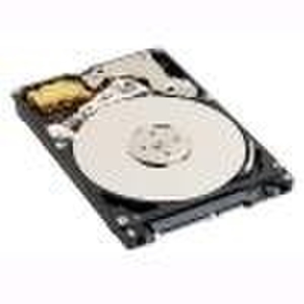 Origin Storage 120GB Hard Drive 120GB Serial ATA internal hard drive