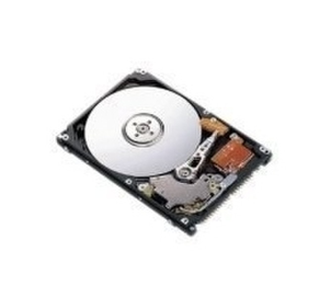 Origin Storage 250GB SATA 250GB Serial ATA II internal hard drive