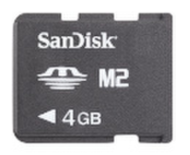 Sandisk Memory Stick Micro (M2) 4GB 4GB M2 memory card