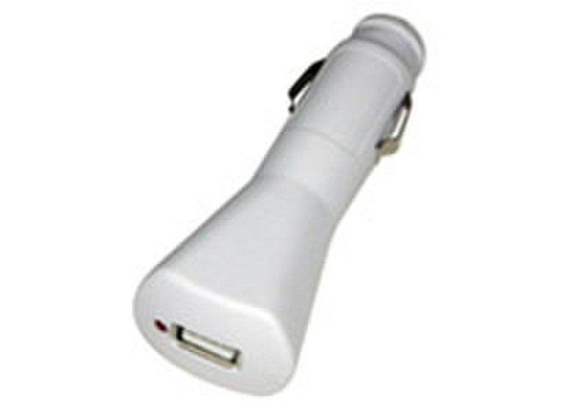 Lenmar DC Adapter Белый адаптер питания / инвертор