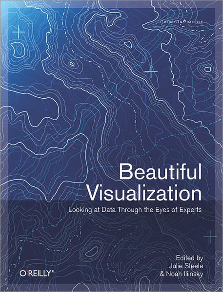 O'Reilly Beautiful Visualization 416Seiten Software-Handbuch