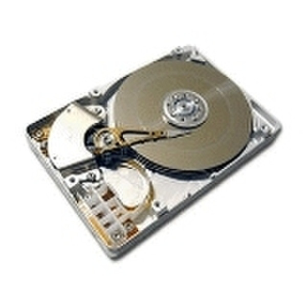 Total Micro Hard Disk Drive for Notebooks 100GB EIDE/ATA Interne Festplatte