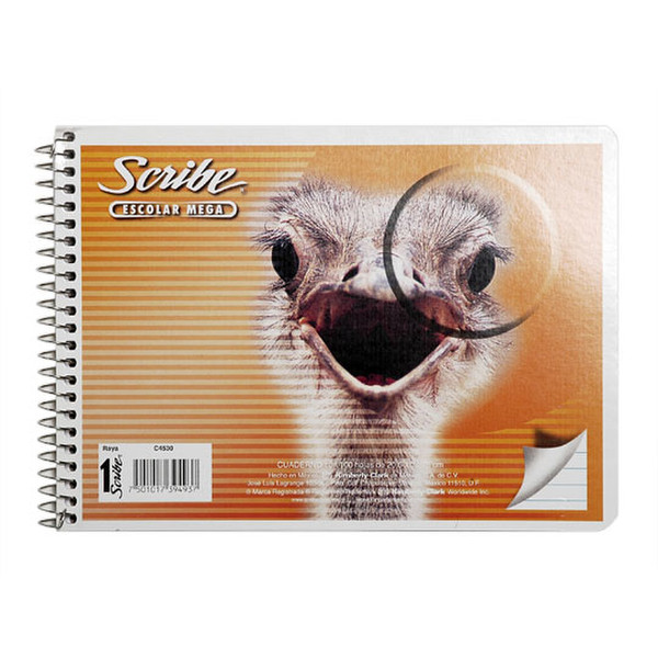 Scribe 1004530 100sheets Multicolour writing notebook