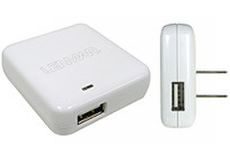 Lenmar ACUSB1 AC Adapter Белый адаптер питания / инвертор
