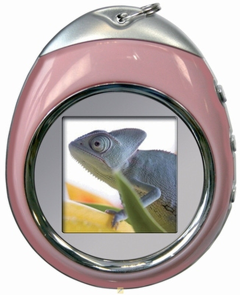 ODYS Pocket Frame II 1.5