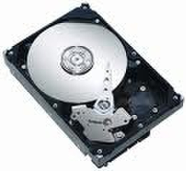 Seagate Desktop HDD Barracuda 7200.9 SATA II 300Gb 300GB Serial ATA II internal hard drive