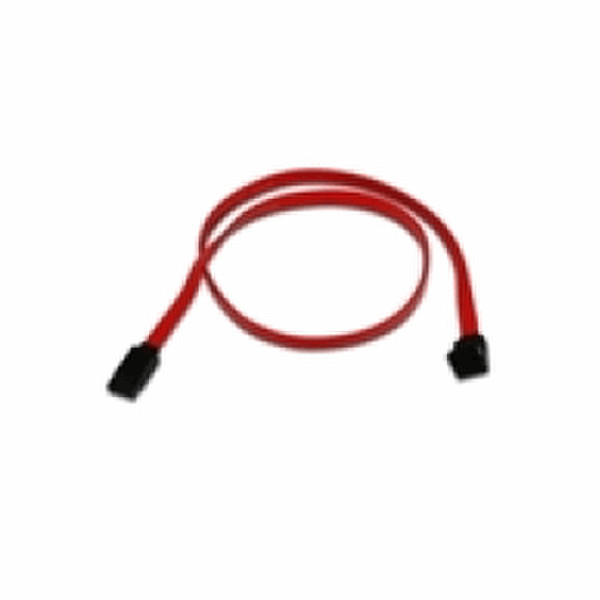 Belkin SATA / SAS Cable, 0.6m 0.6м SATA 7-pin SATA 7-pin Красный кабель SATA