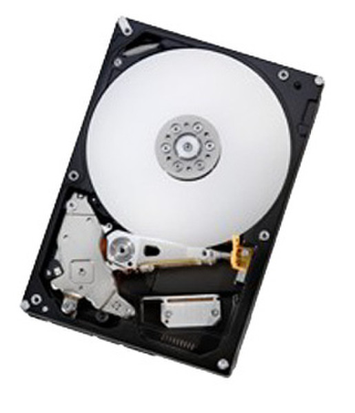 Hitachi Deskstar 7K1000.B 160GB 160GB Serial ATA internal hard drive
