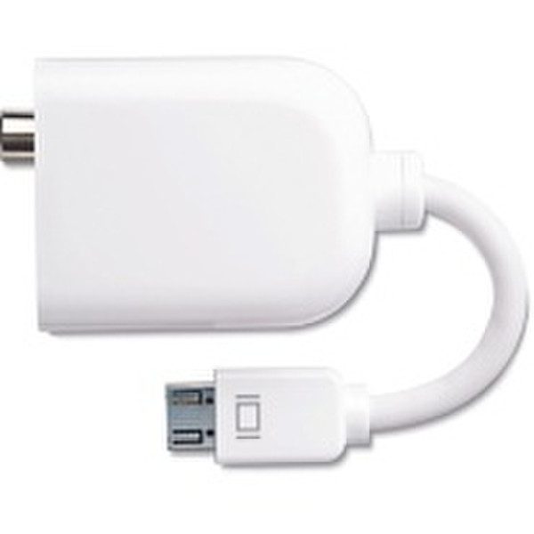 Apple Mini DVI to Video Adapter mini DVI S-Video / RCA White cable interface/gender adapter