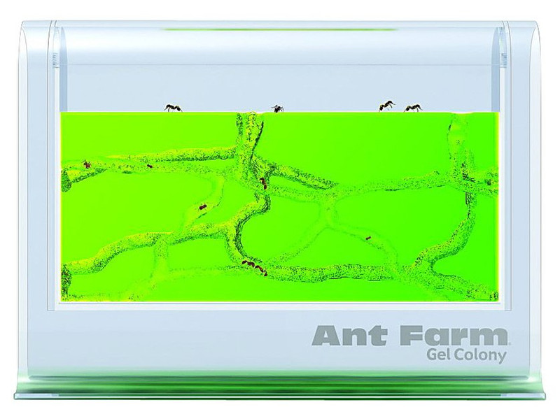 Uncle Milton Illuminated Ant Farm Gel Colony