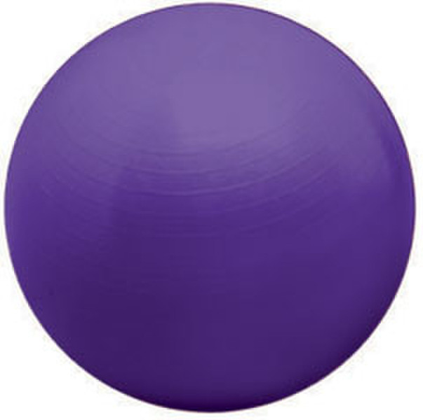 Valeo BREX55 exercise ball