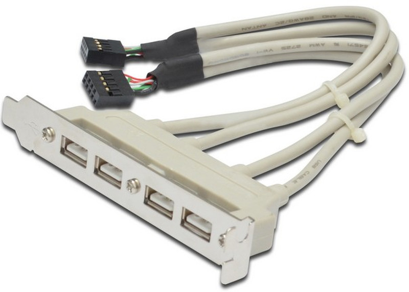 ASSMANN Electronic 4x USB 2.0 - 2x 10pin IDC