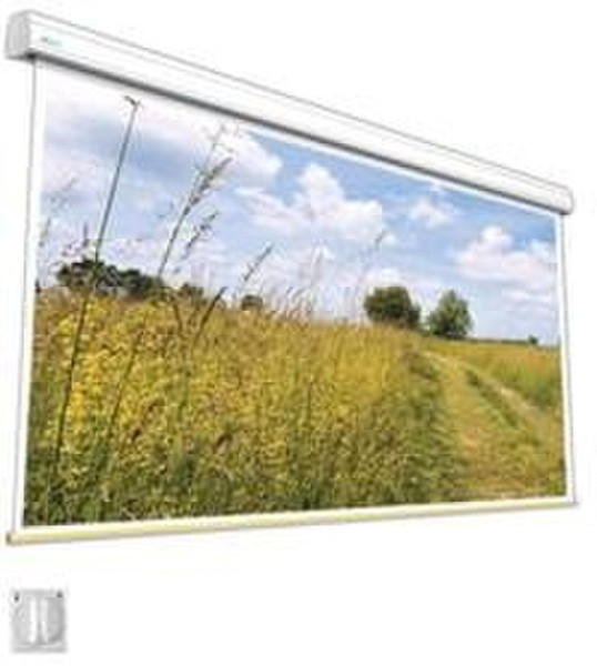 Avers Solar 50/38 WI White Ice 4:3 White projection screen