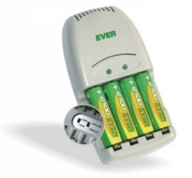 Ever E-300 4 x 2500 AA