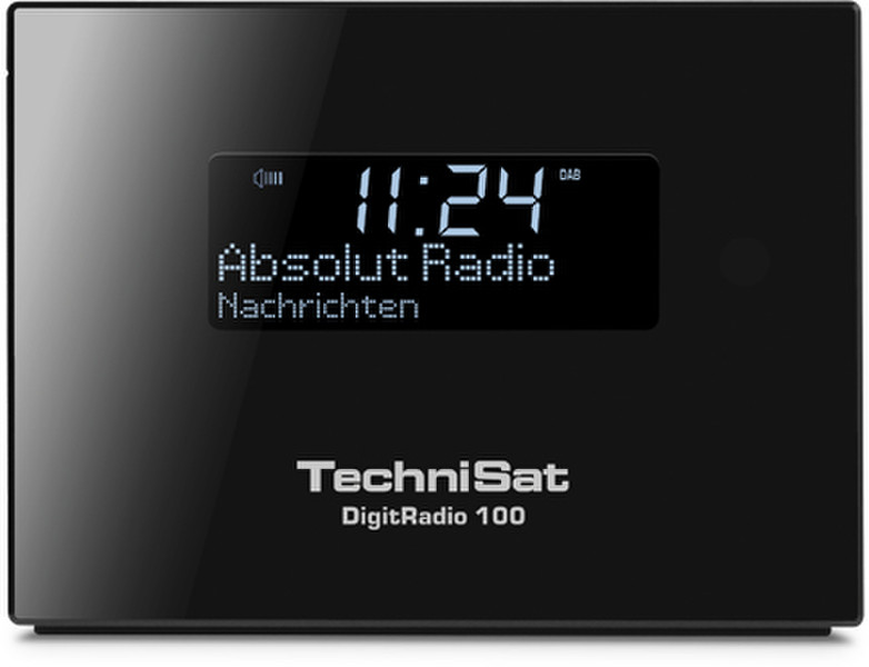 TechniSat DigitRadio 100 Часы Цифровой Черный радиоприемник