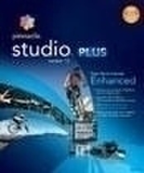 Pinnacle Studio Plus 12, IT