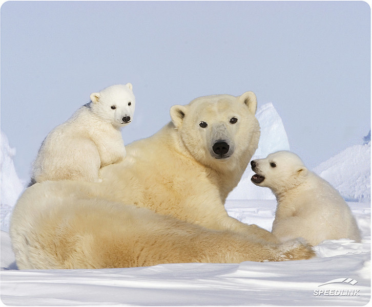 SPEEDLINK Silk Mousepad, Polar Bear Синий коврик для мышки