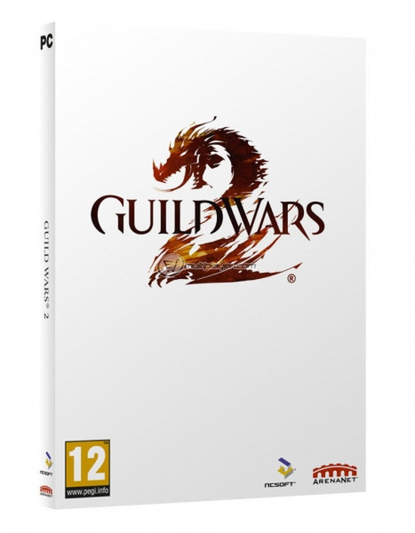 Multiplayer Guild Wars 2