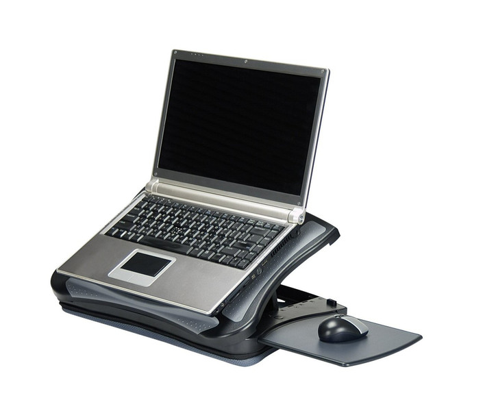 Ergoguys LD007P подставка с охлаждением для ноутбука