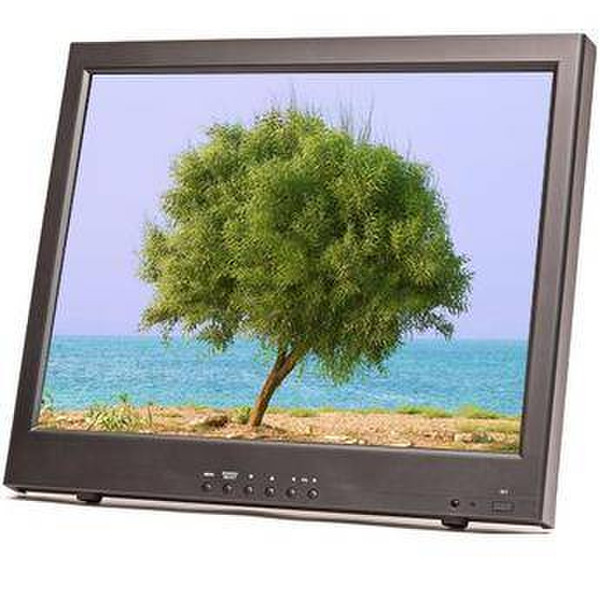 Panasonic PLCD20P 20Zoll Schwarz Computerbildschirm