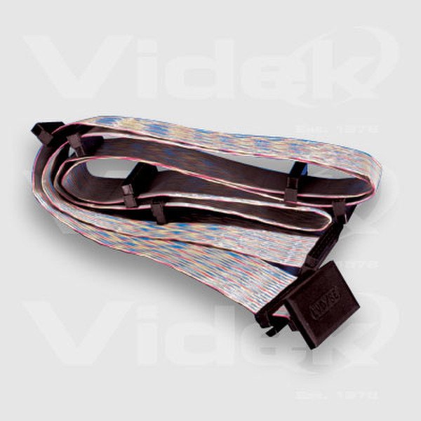 Videk Multi 68 Pin with Built-In Termination Серый SCSI кабель