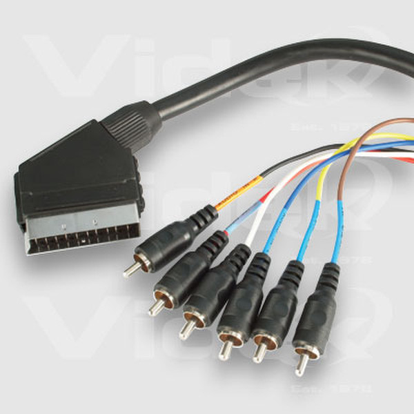 Videk Scart to 6 Phono Plgs 1.5m 1.5m SCART (21-pin)