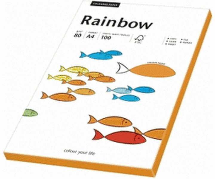 Papyrus Rainbow A4 100er A4 (210×297 mm) Matt Orange Druckerpapier