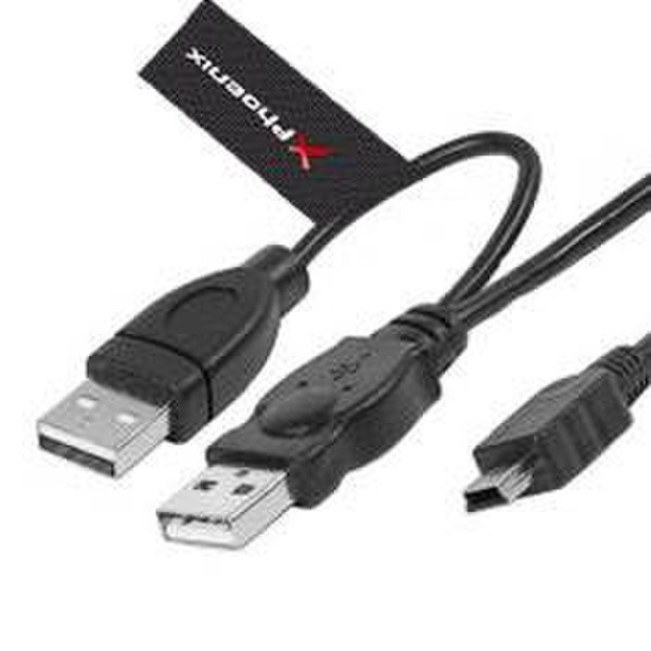 Phoenix Technologies 1.5m 2 x USB/Mini USB 1.5m Mini-USB B 2 x USB Schwarz