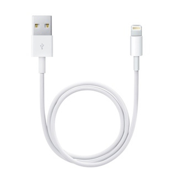 Apple Lightning / USB 0.5м USB A Белый