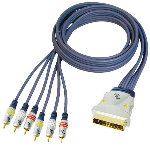 all4u BBV 56, 1.5m 1.5m SCART (21-pin) 6 x RCA Blau Videokabel-Adapter
